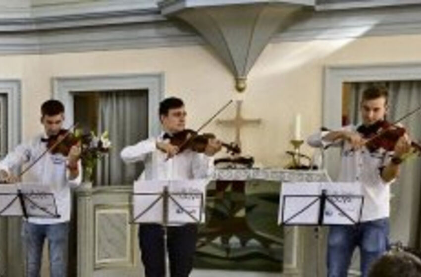 violin_guys